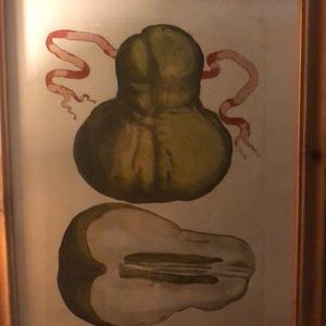 Meet your Posher, Scott